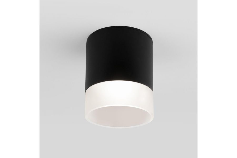 Уличный потолочный светильник Elektrostandard Light LED 4690389177941