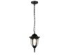 Уличный подвесной светильник ЭРА Галатея GBS-105-BL-0800 230В Е27 IP54 чёрный Б0071486