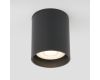 Уличный потолочный светильник Elektrostandard Light LED 4690389176968