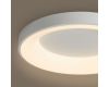 Потолочный светильник Freya Fit FR6157CL-L65W