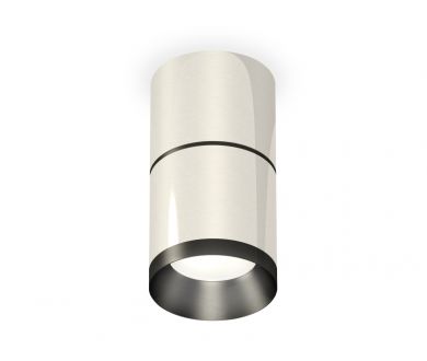 Купить Потолочный светильник Ambrella Light Techno Spot XS7405041 (C7405, A2071, C7405, N7031) Потолочный светильник Ambrella Light Techno Spot XS7405041 (C7405, A2071, C7405, N7031)