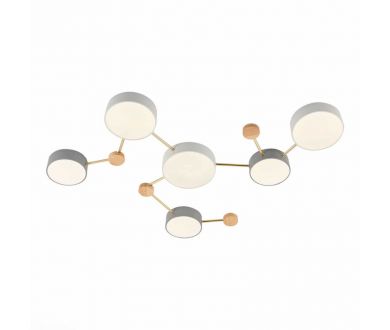 Потолочный светильник Evoluce Dossena SLE600102-06
