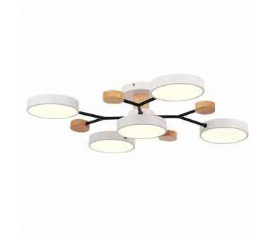 Люстра на штанге Evoluce Faema SLE6006-502-05