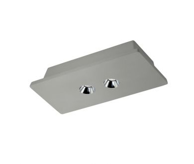 Купить Потолочный светодиодный светильник Loft IT Architect OL1072-GH/2 Потолочный светодиодный светильник Loft IT Architect OL1072-GH/2