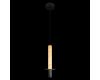 Подвесной светильник LOFT IT Montblanc 10475A Black