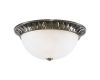 Потолочный светильник Arte Lamp Hall A7838PL-2AB