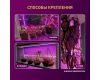 Светодиодная лента для растений Эра 18Вт 1400K 2м IP65 FITO-Strip Light-RB-2m красно-синего спектра Б0057282