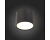 Потолочный светильник ST Luce Rene ST113.442.09