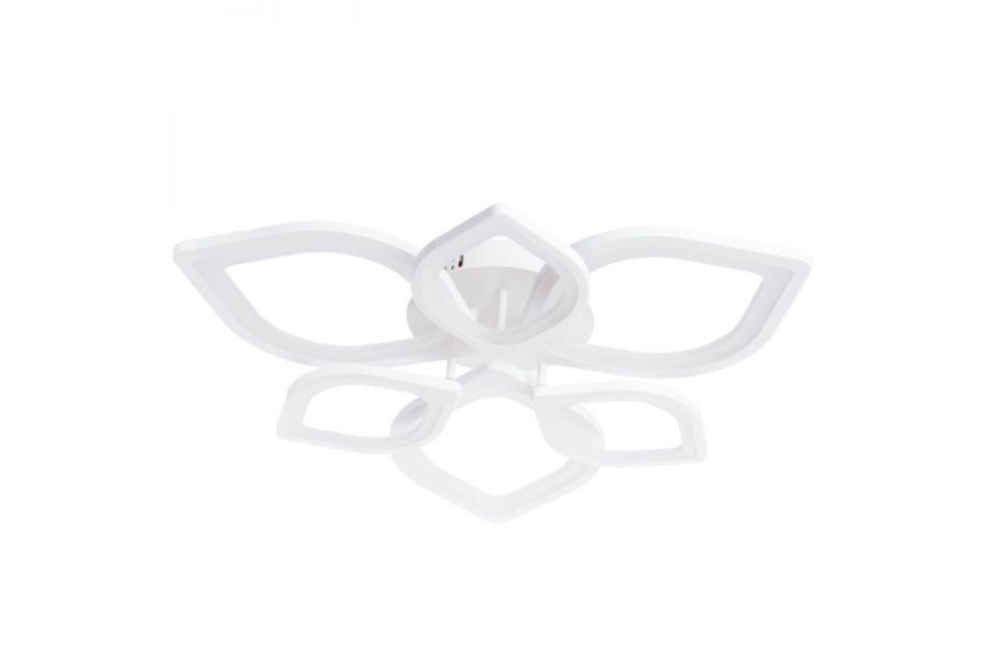 Потолочный светодиодный светильник Arte Lamp Polli A2531PL-6WH