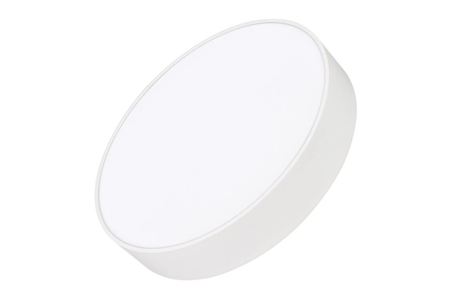 Потолочный светильник Arlight IM-RONDO-EMERGENCY-3H-R350-33W Day4000 (WH, 120 deg, 230V) 041066