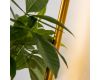 Настенный светильник Favourite Greenery 4050-1W