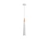 Подвесной светильник Lumion Suspentioni Eoliana 8352/1C