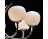 Подвесная люстра MW-Light Оливия 306014808