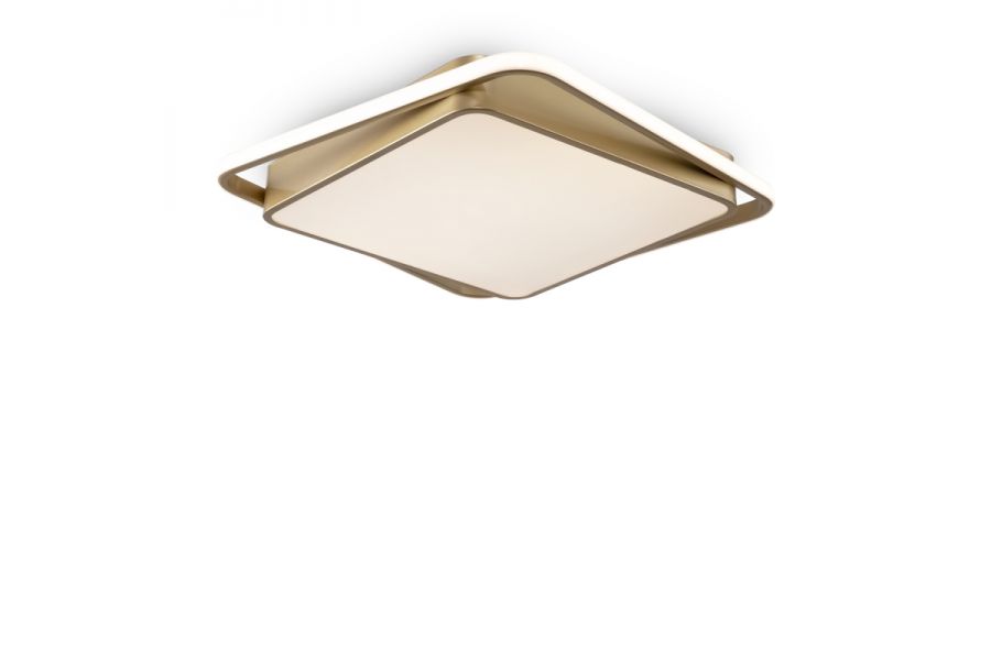 Потолочная люстра Freya Yaku FR10026CL-L93G