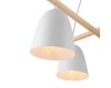 Подвесная люстра Freya Claire FR5063PL-04W