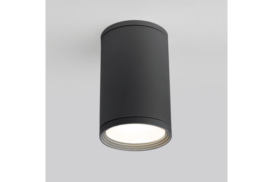 Уличный потолочный светильник Elektrostandard Light 4690389175909