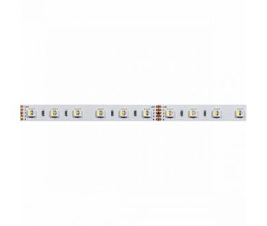 Купить Светодиодная лента Arlight 19,2W/m 60LED/m 5060SMD разноцветный/теплый белый 5M 019152(2) Светодиодная лента Arlight 19,2W/m 60LED/m 5060SMD разноцветный/теплый белый 5M 019152(2)