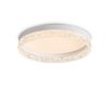Потолочный светильник Freya Bounty FR6193CL-L48W