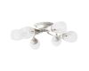 Потолочная люстра ARTE Lamp A2701PL-6WG
