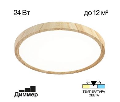 Потолочный светильник Citilux Бейсик CL738242V