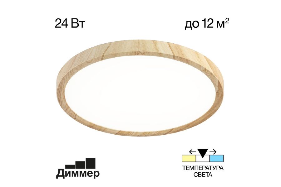 Потолочный светильник Citilux Бейсик CL738242V