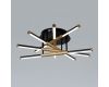 Потолочный светильник Arte Lamp Fernando A2199PL-5BK