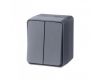 Выключатель 2-клавишный 10 АХ Systeme Electric AtlasDesign Profi54 Наруж Антрацит ATN544051