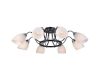 Потолочная люстра Arte Lamp Florentino A7144PL-8BK
