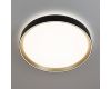 Потолочный светильник Citilux Boss CL751351G
