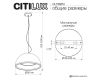 Подвесной светильник Citilux Floom CL736251