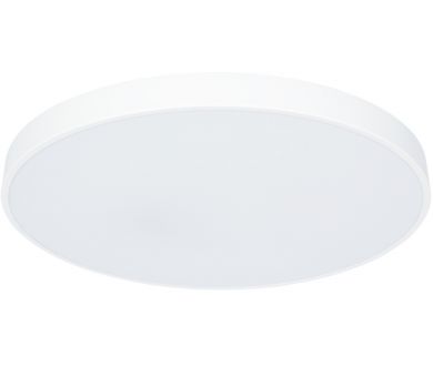Потолочный светодиодный светильник Arte Lamp Arena A2671PL-1WH