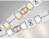 Светодиодная лента Ambrella Light Illumination 24В 5050 14,4Вт/м 3000K 5м IP20 GS4002