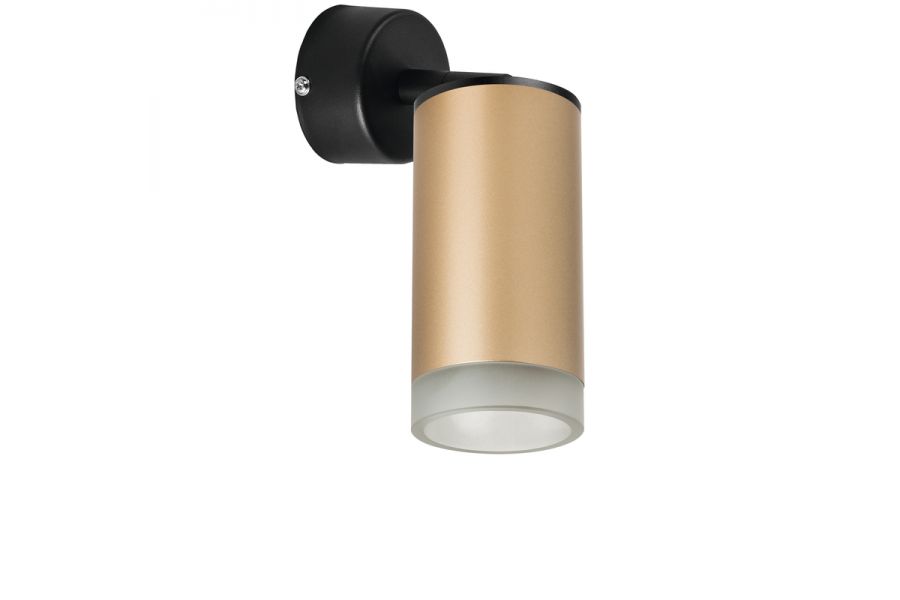 Встраиваемый спот Lightstar Rullo RB44030 (214440+590007+202430)