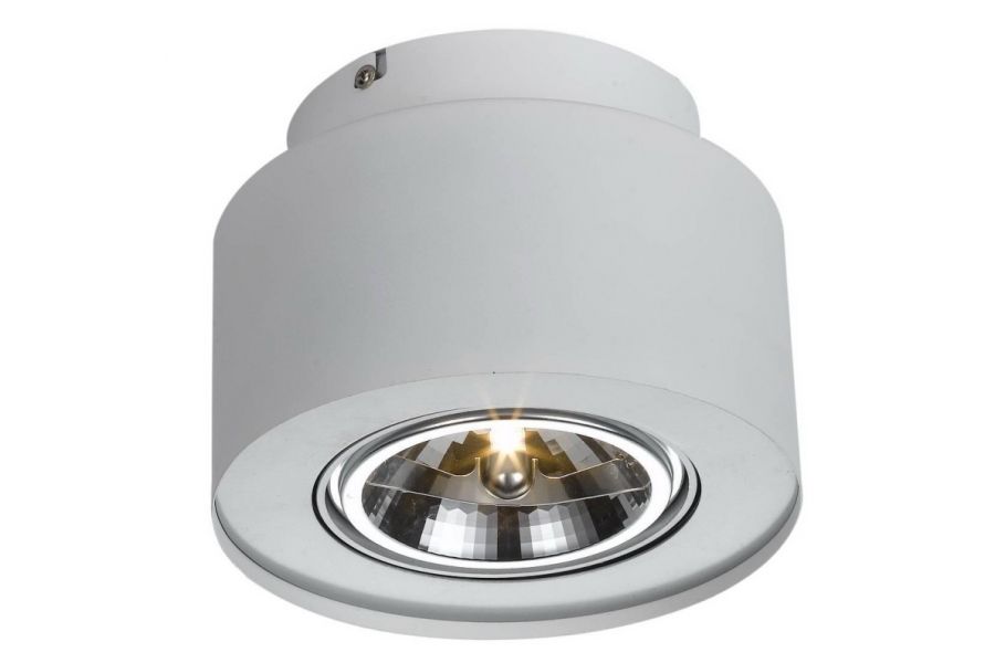 Потолочный светильник Arte Lamp Cliff A5643PL-1WH