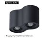 Потолочный светильник Arte Lamp Falcon A5645PL-2BK