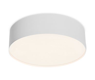 Потолочный светильник Maytoni Technical Ceiling Zon C032CL-24W4K-RD-W