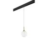 Трековый светильник Lightstar Globo PRO813022 (813022+595007)