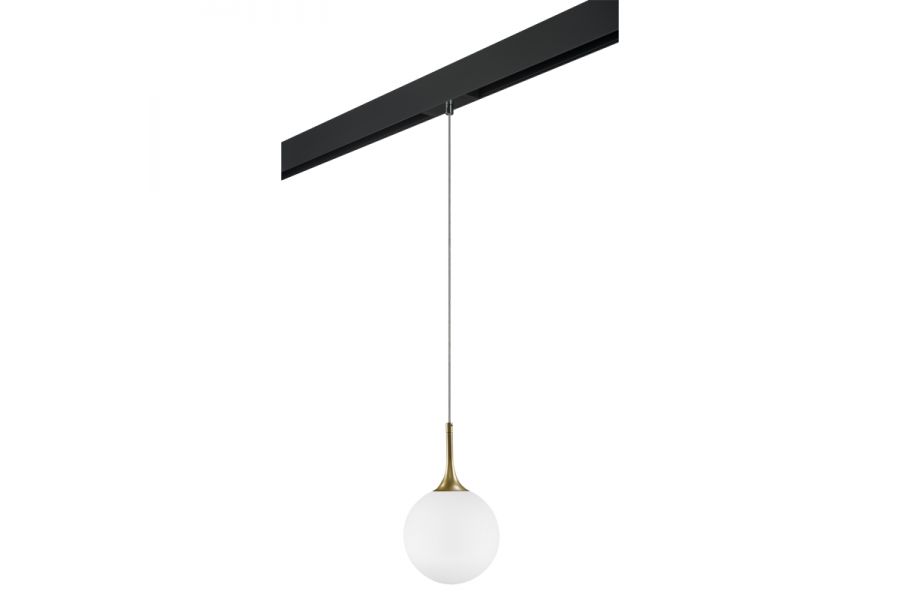 Трековый светильник Lightstar Globo PRO813022 (813022+595007)