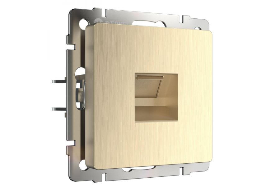 Розетка Ethernet RJ-45 Werkel шампань рифленый W1181010 4690389160608
