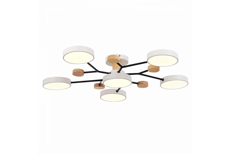 Люстра на штанге Evoluce Faema SLE6006-502-06