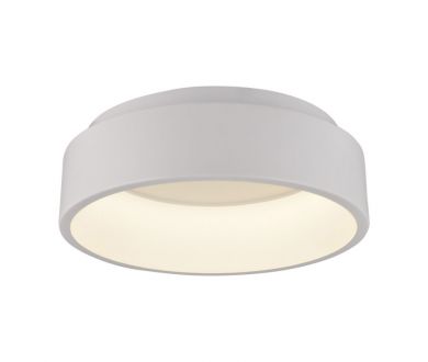 Потолочный светодиодный светильник Arte Lamp A6245PL-1WH