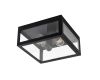 Уличный потолочный светильник Arte Lamp Belfast A4569PF-2BK