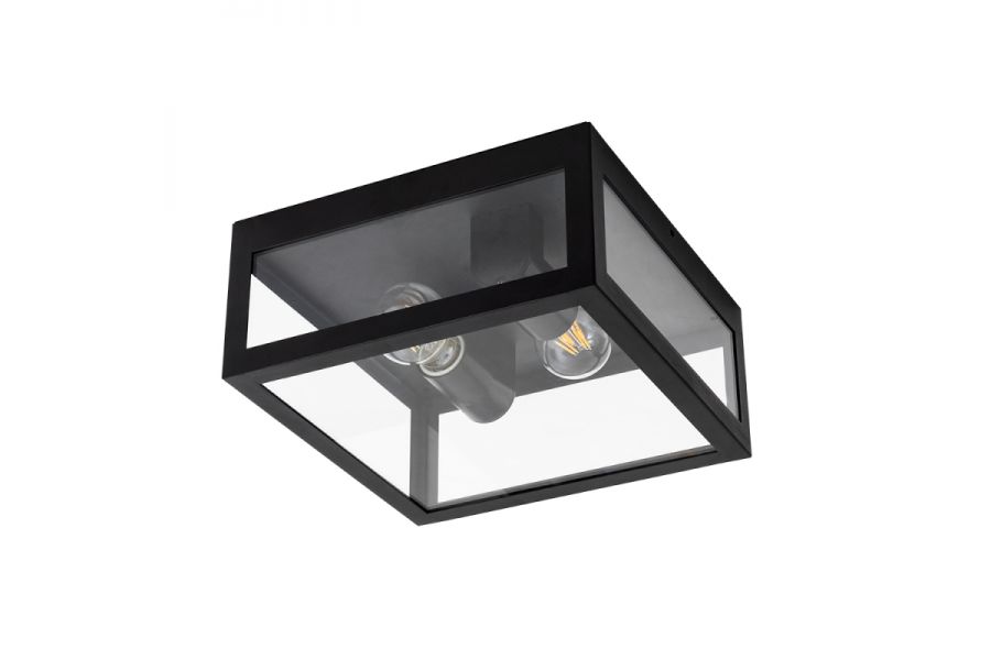 Уличный потолочный светильник Arte Lamp Belfast A4569PF-2BK