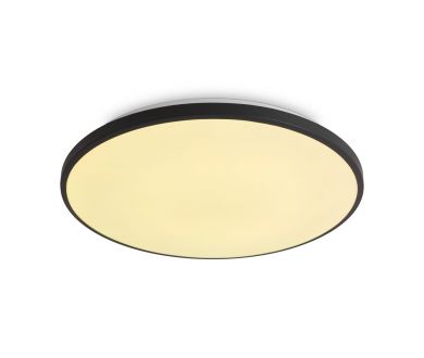 Потолочный светильник Freya Obelle FR6211CL-L24B