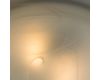 Потолочный светильник Arte Lamp Symphony A3440PL-2CC