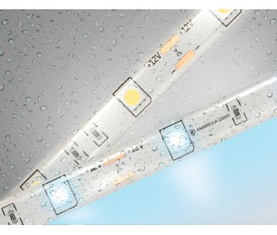Светодиодная лента Ambrella Light LED Strip 12В 5050 7,2Вт/м 6500K 5м IP65 GS1903