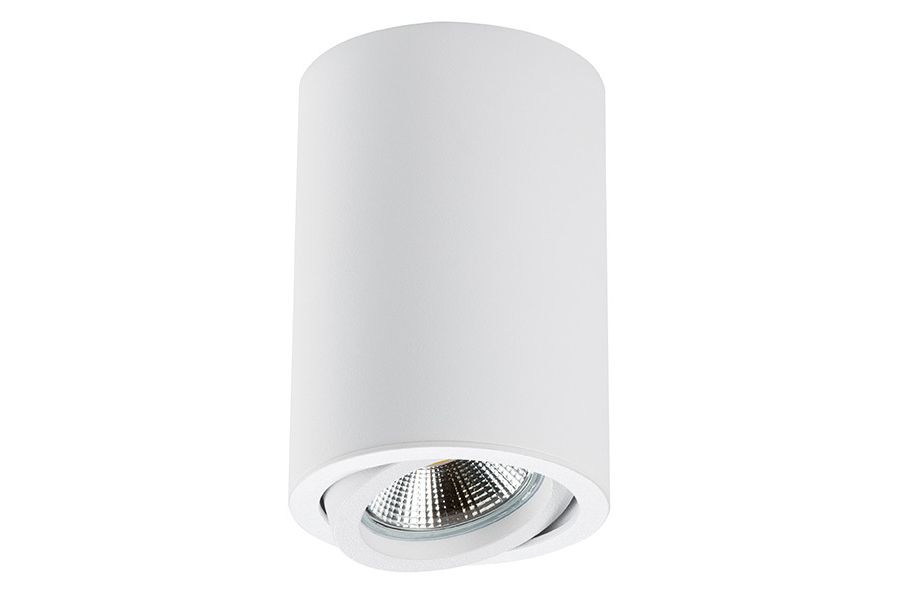 Накладной светильник Lightstar Rullo 214406