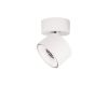 Накладной спот Loft IT Focus 10323/A White