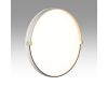 Настенно-потолочный светильник Sonex Pale Olidi White 7646/ELN