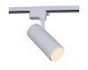 Трековый однофазный светильник Reluce 06650-9.3-LED10/20/30W CCT WT